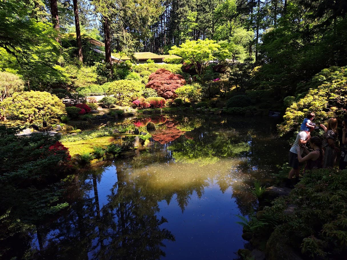 Reflective Pond