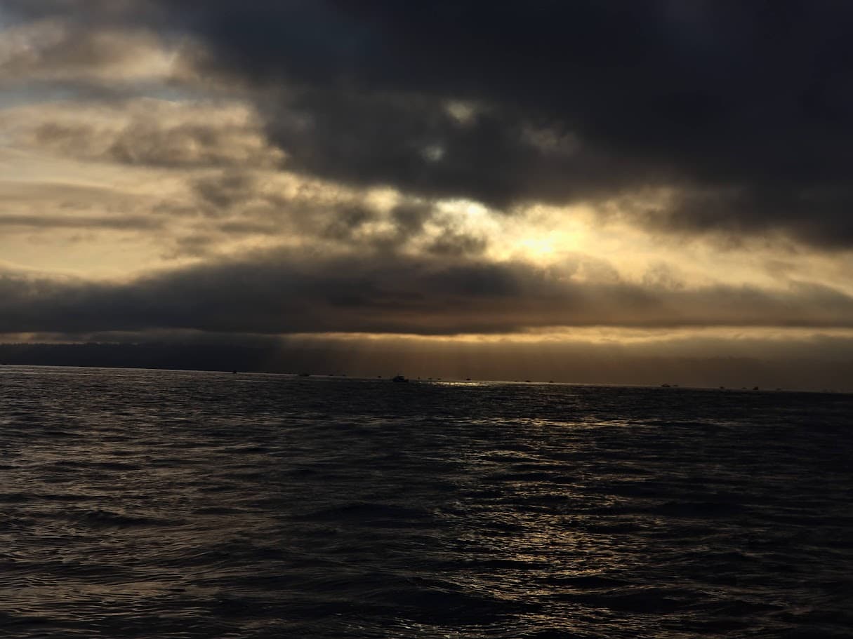 Seatle Sound