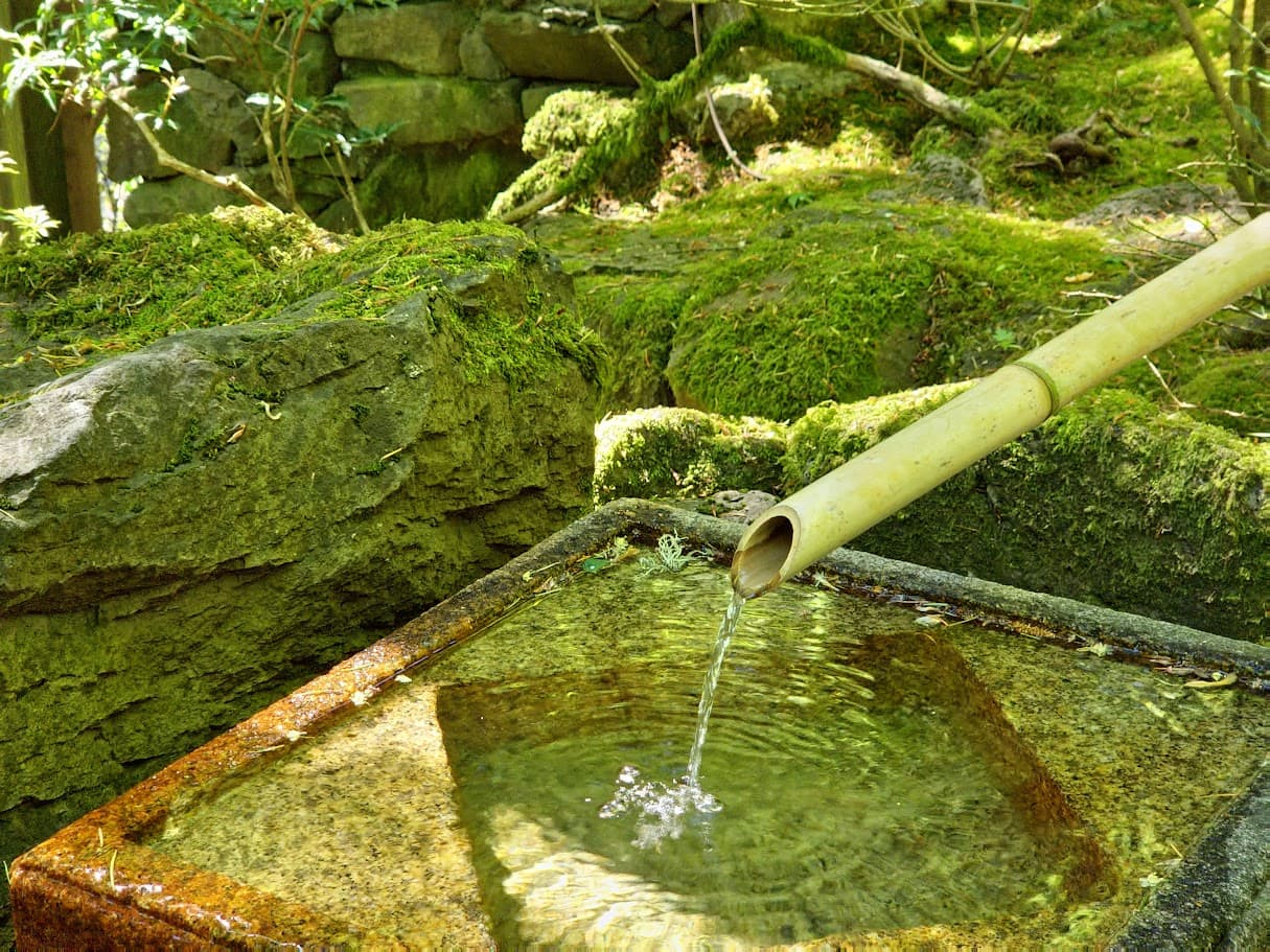 Bamboo Drink